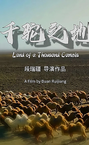 灵武大陆海报
